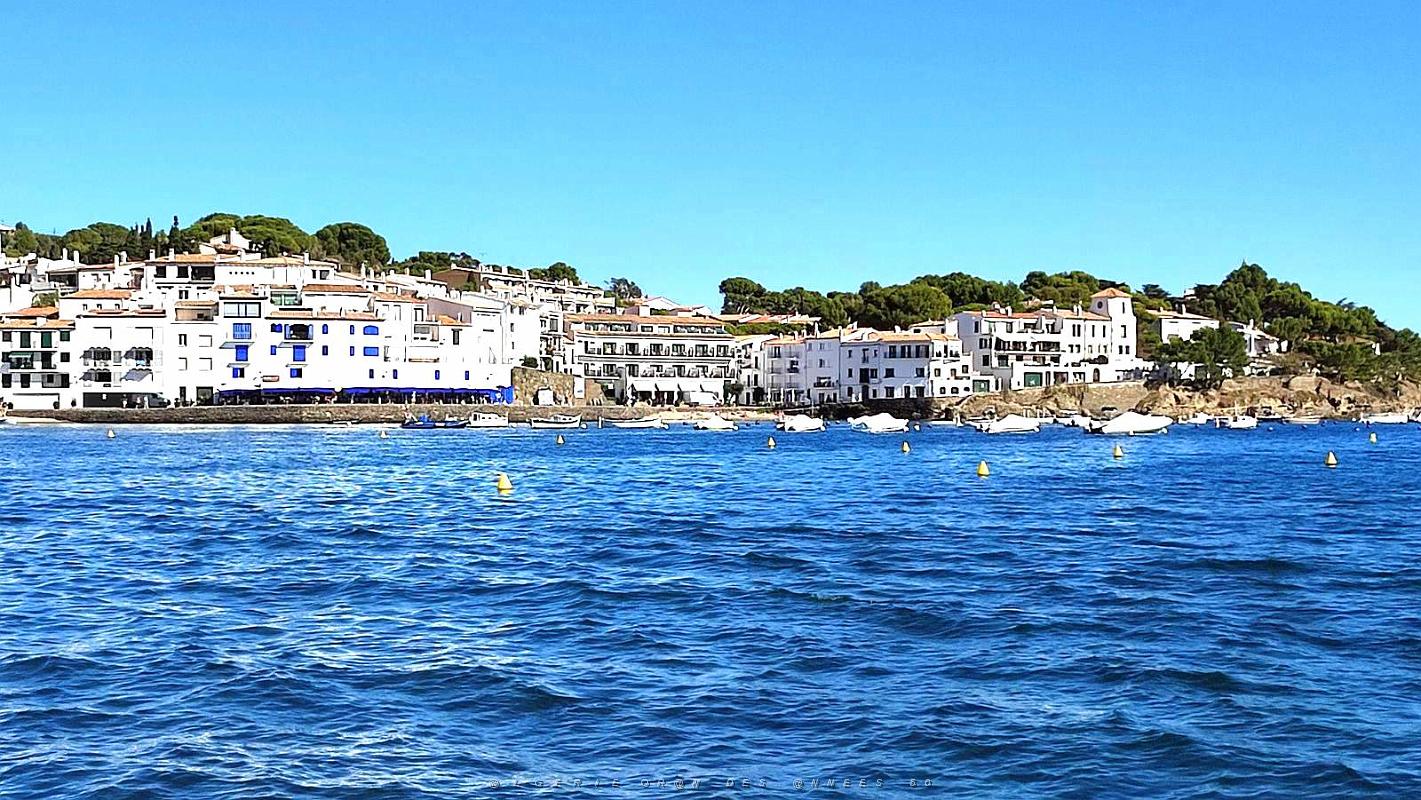 De Rosas a Cadaques 84.jpg